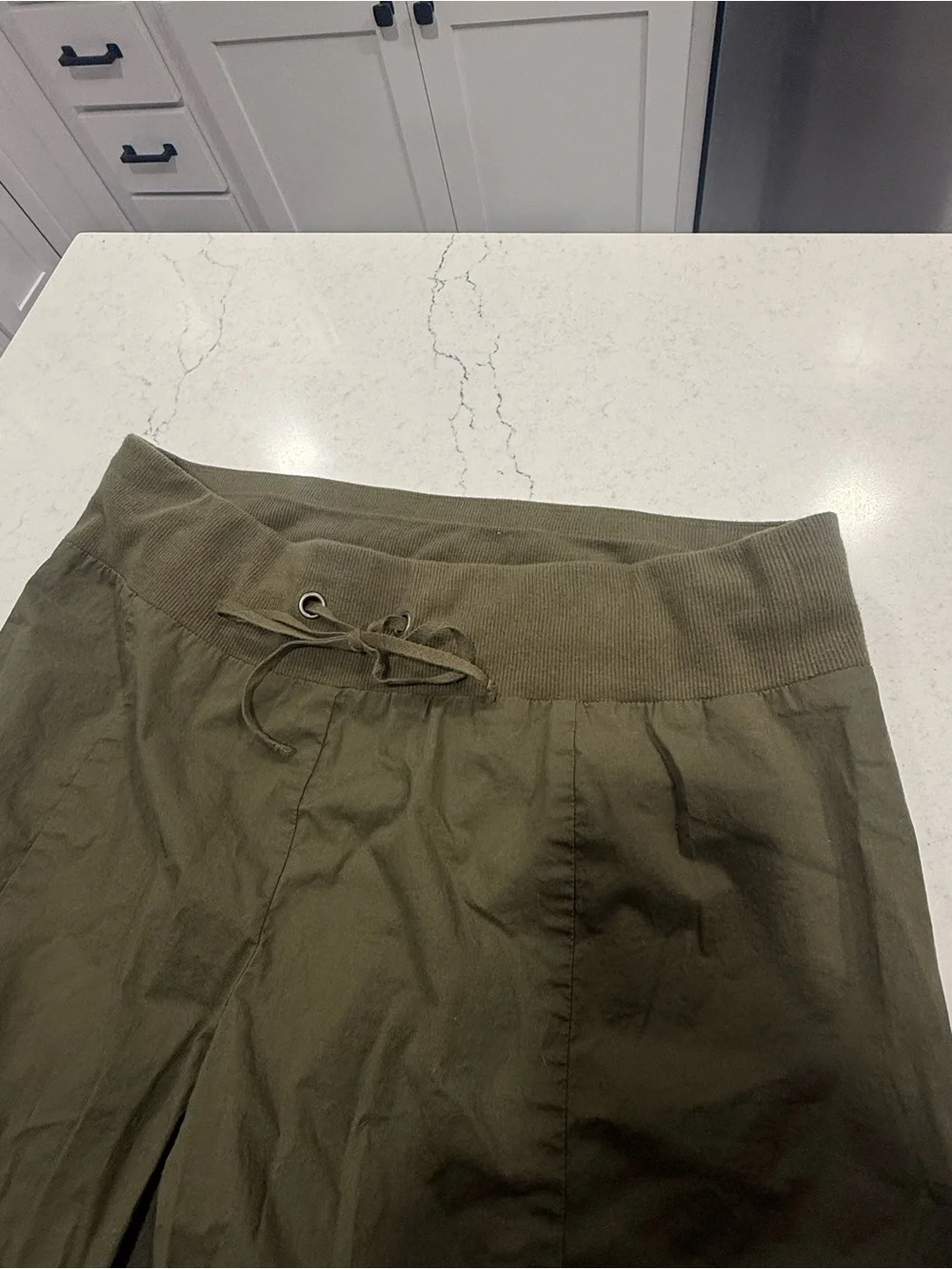 Eileen Fisher Organic Cotton Poplin Stretch Ankle Pants Green Drawstring Small
